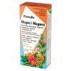 Floradix Wapń i Magnez, płyn, 250 ml